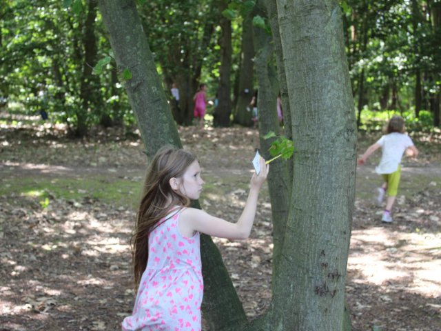 Bilder 19.07.2017 Thementag