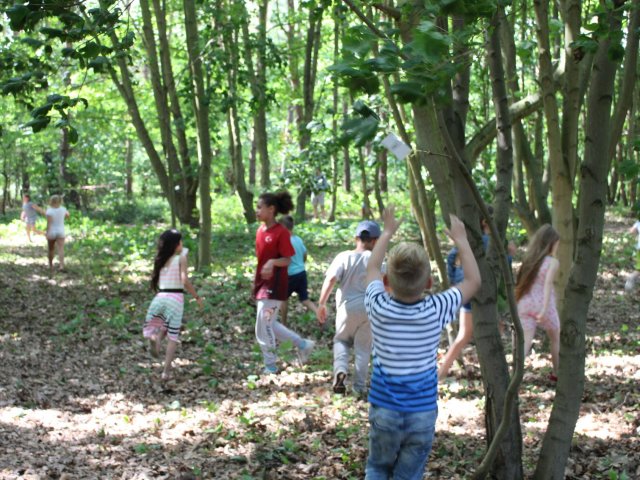 Bilder 19.07.2017 Thementag