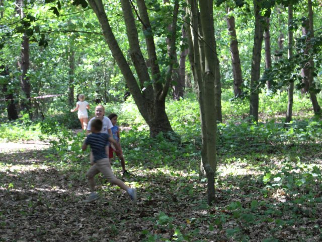 Bilder 19.07.2017 Thementag