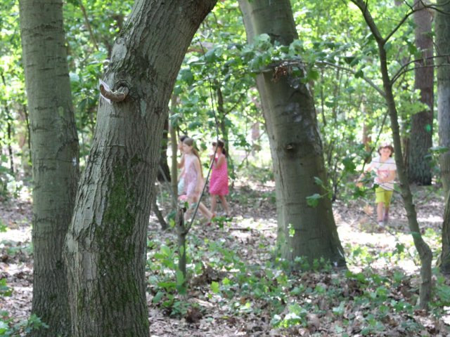 Bilder 19.07.2017 Thementag