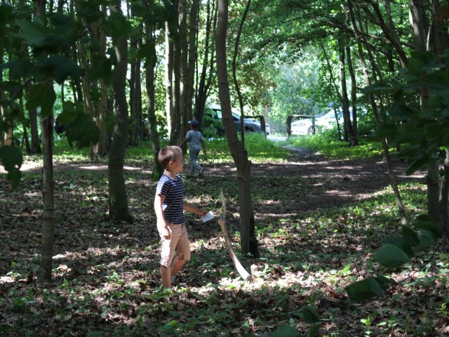 Bilder 19.07.2017 Thementag